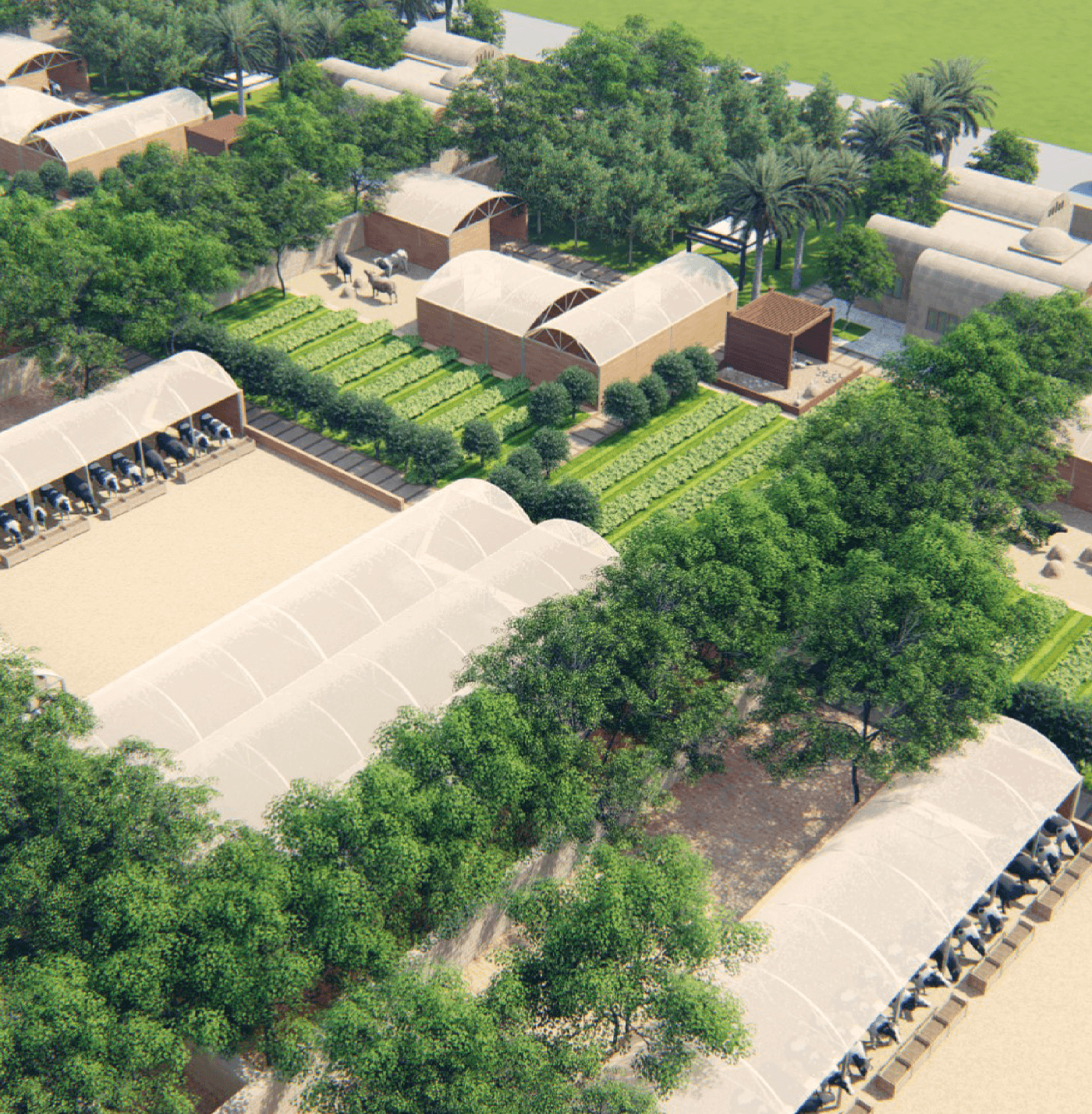 Agricultural Village Project in the White Nile State